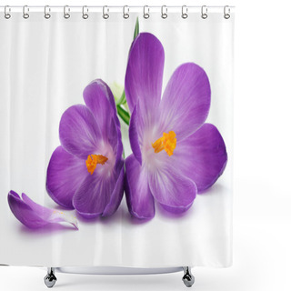 Personality  Crocus Shower Curtains