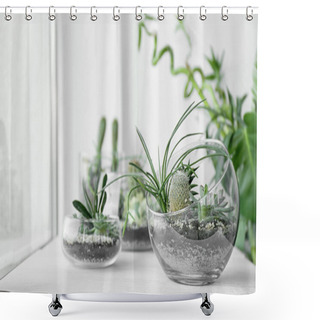 Personality  Mini Succulent Garden In Glass Terrarium Shower Curtains