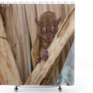 Personality  Tarsier Shower Curtains