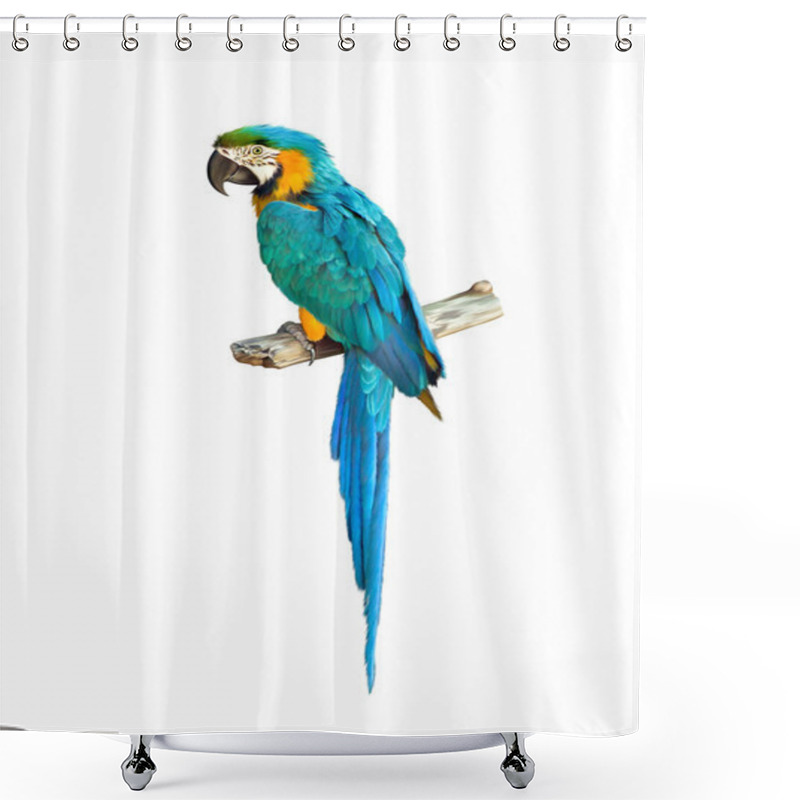 Personality  Colorful Blue Parrot Macaw Shower Curtains