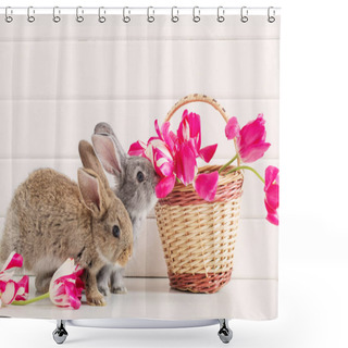 Personality  Bunnyes And Pink Tulips On White Background Shower Curtains