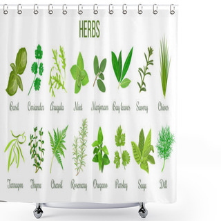 Personality  Big Icon Set Of Popular Culinary Herbs. Realistic Style. Basil, Coriander, Mint, Rosemary, Basil, Sage, Thyme, Parsley Etc. For Cosmetics, Store, Health Care, Tag Label, Food Design Shower Curtains
