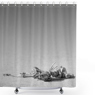Personality  Eland Skeleton In Desert Shower Curtains