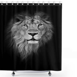 Personality  Black-white Portrait, Isolated Black Background. Muzzle Powerful Shower Curtains