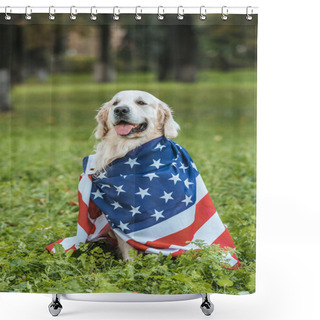 Personality  Cute Retriever Dog Wrapped In American Flag Sitting On Grass In Park Shower Curtains