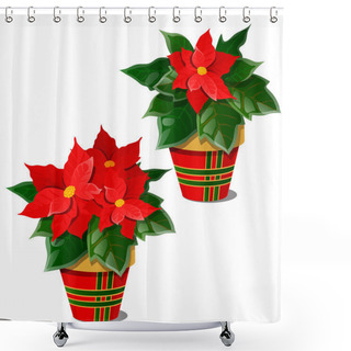 Personality  The Flowering Poinsettia Plants In Pots Isolated On White Background. A Traditional Symbol Of Christmas And New Year. Sample Of Poster, Invitation And Other Cards. Vector Cartoon Close-up Illustration Shower Curtains