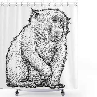 Personality  Japanese Snow Monkey Macaque Illustration, Drawing, Engraving, Ink, Line Art, Vector Shower Curtains