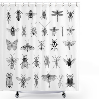 Personality  Collection Of Monochrome Illustrations Of Insects In Sketch Style. Hand Drawings In Art Ink Style. Black And White Graphics. Shower Curtains