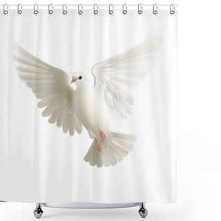 Personality  Beautiful White Pigeon Shower Curtains