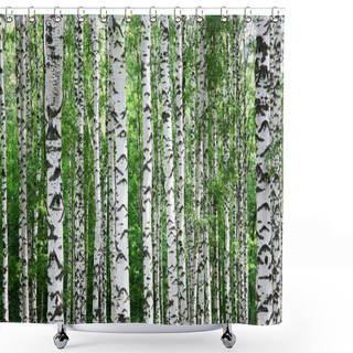 Personality  Trunks Of Birch Trees In Summer Shower Curtains