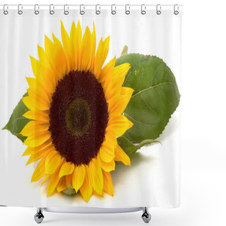 Personality  Sunflower Shower Curtains