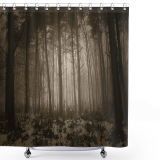 Personality  Winter Misty Forest With Fog  Shower Curtains
