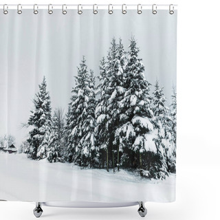 Personality  Road In Carpathian Mountains Covered With Snow Among Spruces  Shower Curtains