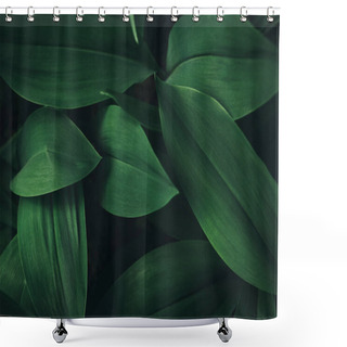 Personality  Full Frame Image Of Plant Leaves Background  Shower Curtains