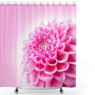 Personality  Pink Chrysanthemum Flower Isolated On White Background. Shower Curtains