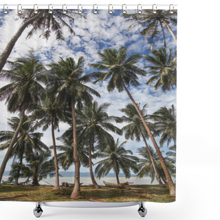 Personality  Beautiful Palm Trees At Tropical Seashore On Sunny Day Shower Curtains