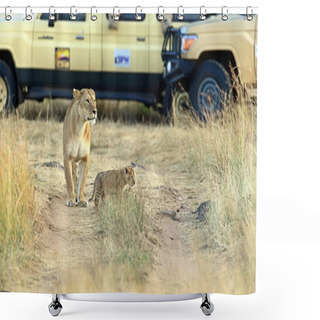 Personality  Lion Masai Mara Shower Curtains