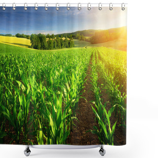 Personality  Sunlit Rows Of Corn Plants Shower Curtains