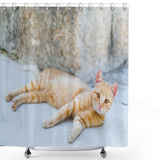 Personality  Street Red Cat Rests Shower Curtains