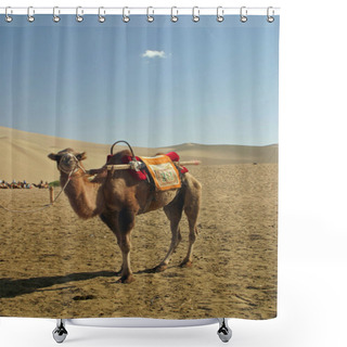 Personality  Camel In Mingsha Shan (Echo Sand Mountain) In Dunhuang, China Shower Curtains