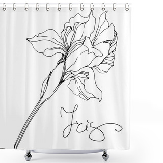 Personality  Vector Monochrome Isolated Iris Flower Illustration On White Background Shower Curtains