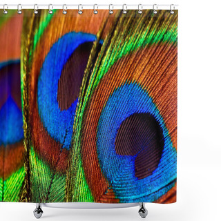 Personality  Peacock Feathers Shower Curtains