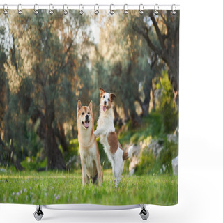 Personality  Two Joyful Dogs A Shiba Inu And A Jack Russell Terrier Share A Playful Moment In A Verdant Grove, Shower Curtains