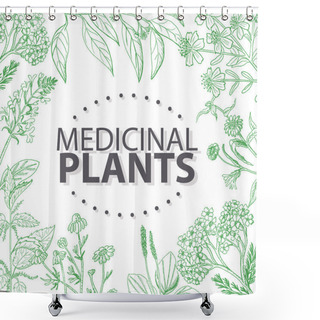 Personality  Vector Background With Medical Herbs  Shower Curtains