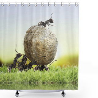 Personality  Team Of Ants Shower Curtains