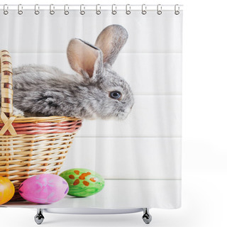 Personality  Easter Bunny With Eggs On White Background Shower Curtains