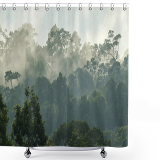 Personality  Deep Tropical Forest, Canopy Tree And Fog Shower Curtains