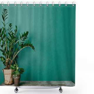 Personality  Plants In Flowerpots On Dusty Table On Green Background Shower Curtains