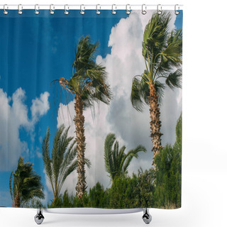 Personality  Palm Trees Against Blue Sky With Clouds  Shower Curtains