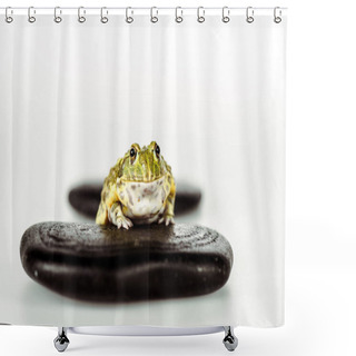 Personality  Selective Focus Of Cute Green Frog On Black Stones Isolated On White Shower Curtains
