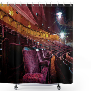 Personality  Empty Theatre Auditorium Shower Curtains