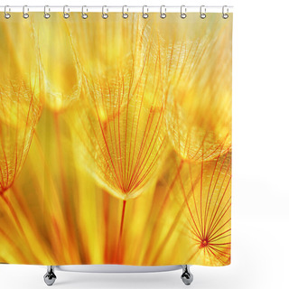 Personality  Abstract Dandelion Flower Background Shower Curtains