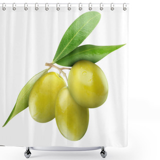 Personality  Green Olives Shower Curtains