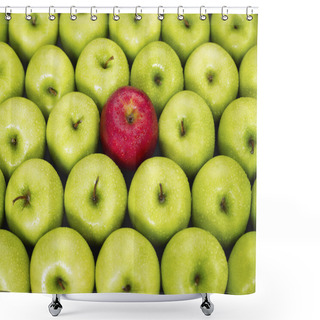 Personality  Red And Green Apples Shower Curtains