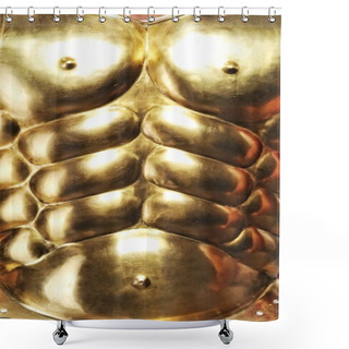 Personality  Close-up Of Golden Armour Shower Curtains