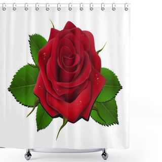 Personality  Red Rose Shower Curtains