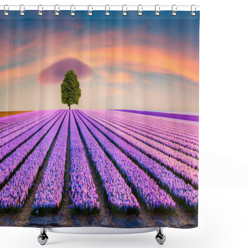 Personality  Alone Tree Among A Field Of Blooming Hyacinth Flowers. Fantastic Morning Scene On The Flowers Farm In Netherlands, Europe. Stunning Spring Sunrise In Farmland. Artistic Style Post Processed Photo Shower Curtains