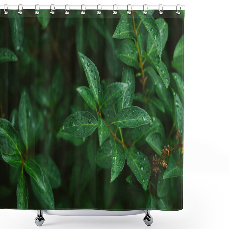 Personality  green leaves with water drops after rain shower curtains