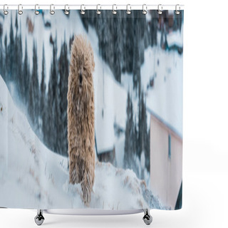 Personality  Cute Fluffy Dog In Snowy Mountains With Pine Trees, Panoramic Shot Shower Curtains