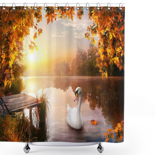 Personality  Swan On Autumn River Shower Curtains