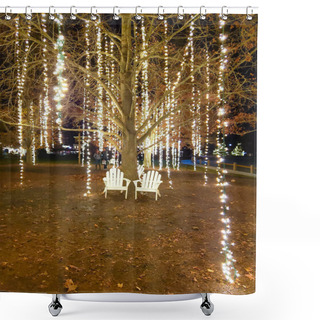 Personality  Biltmore Estate Christmas Lights Shower Curtains