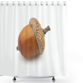 Personality  Acorn Shower Curtains