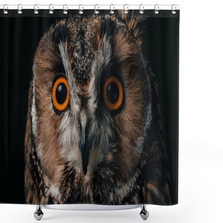 Personality  Close Up View Of Wild Owl Muzzle Isolated On Black Shower Curtains