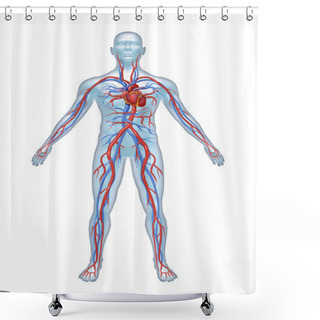 Personality  Human Cardiovascular System Shower Curtains