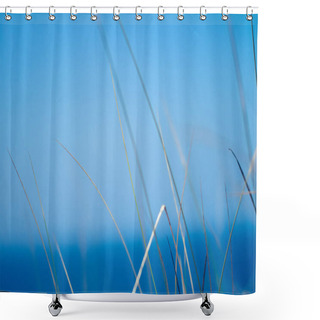 Personality  Rural Field, A Day In Countryside Shower Curtains