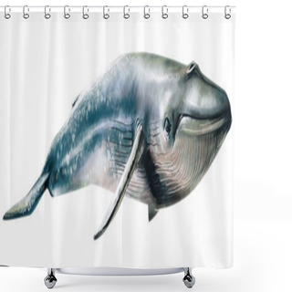 Personality  Watercolor Drawn Whale Shower Curtains